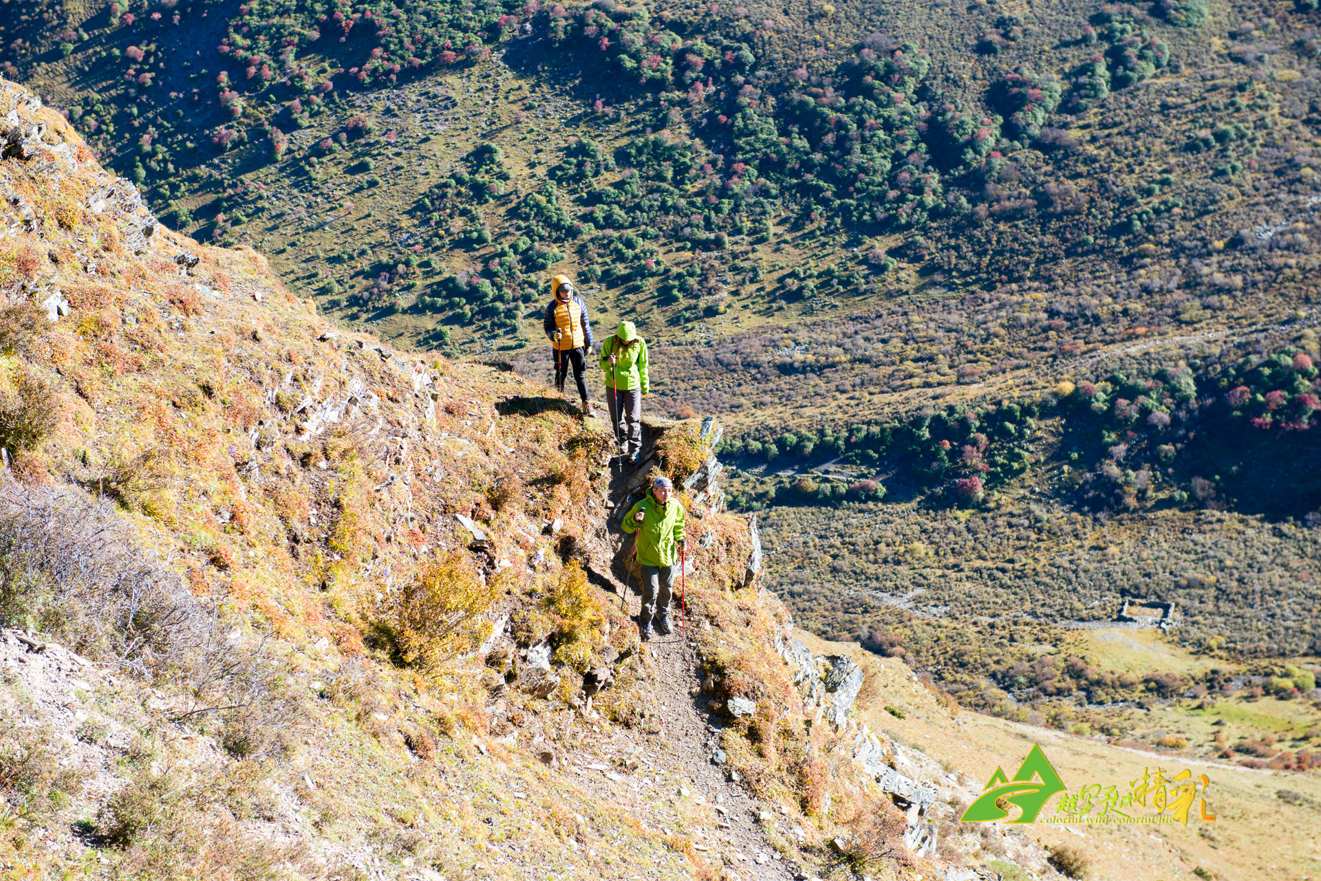 仅是团队的 仅是团队的