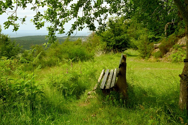 缺乏灵活性 缺乏灵活性