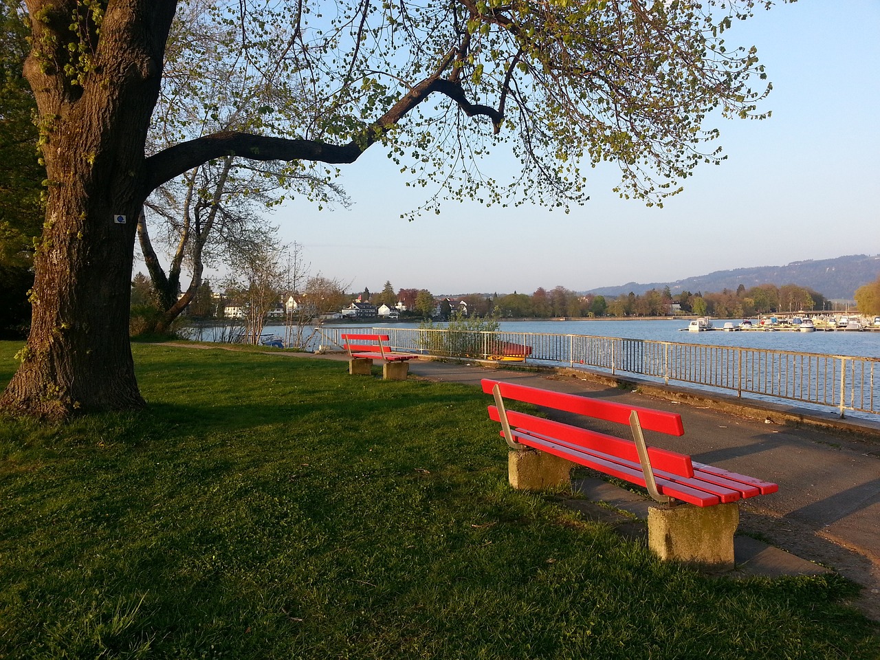 观众坐在露 观众坐在露