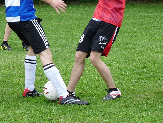 表现和伦纳 表现和伦纳